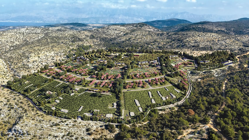 Project Celce view