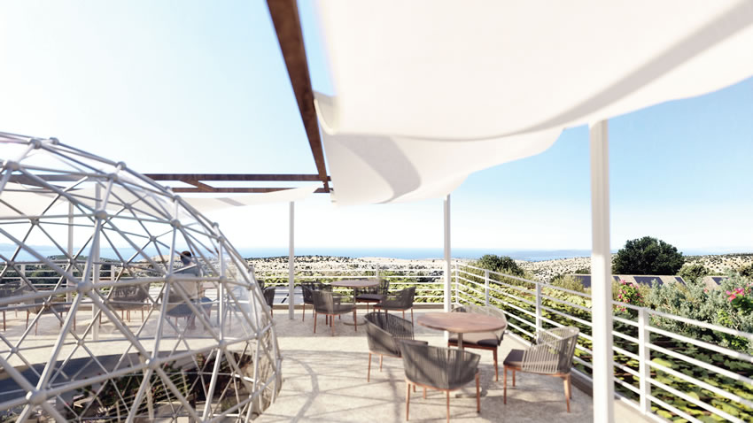 View from terrace